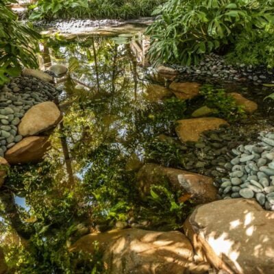 Descubra as maravilhas das piscinas biológicas: beleza e sustentabilidade em harmonia