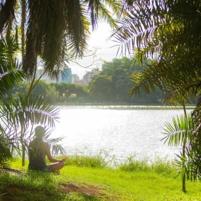 Descubra guia pet friendly em São Paulo com dicas de parques e restaurantes!