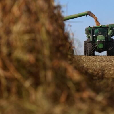 Como os Fundos de Investimento Imobiliário podem contribuir para a infraestrutura do agronegócio brasileiro