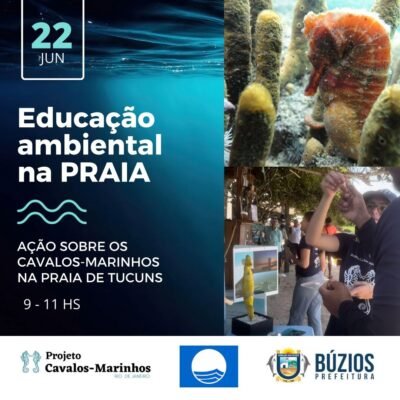 Descubra o incrível Projeto Cavalos-Marinhos em exposição em Búzios neste fim de semana na Praia de Tucuns!