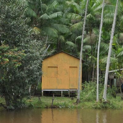 Dia do Meio Ambiente: descubra caminhos urgentes para uma vida mais sustentável em casa.