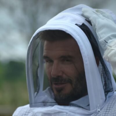 David Beckham usa abelhas como proteção para sua mansão na Inglaterra, acusam [GENTE]