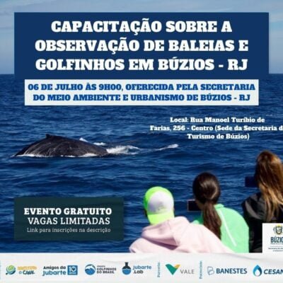 Descubra como a Prefeitura de Búzios está capacitando para observação de baleias e golfinhos – Saiba mais!