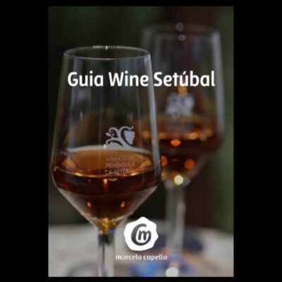 Descubra o incrível Guia de Vinhos que acaba de ser lançado!