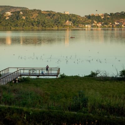 Jardins filtrantes: a solução ecológica para o futuro sustentável do planeta.