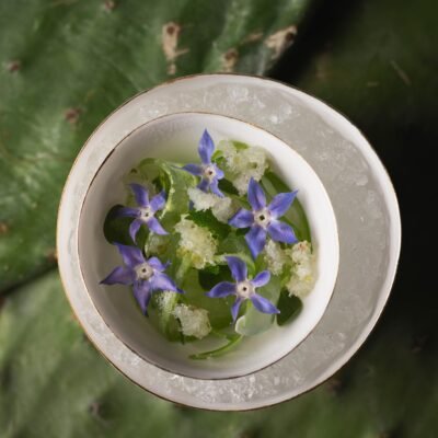 Imersão gastronômica com Chef Onildo Rocha na Chapada Diamantina