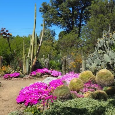 Descubra o deslumbrante jardim californiano eleito como o mais bonito internacionalmente