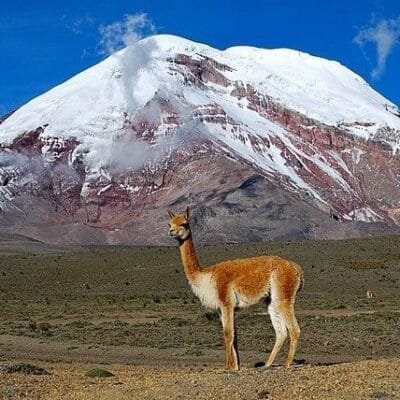 Descubra a jornada de escalar Monte Chimborazo, o ponto mais próximo das estrelas.