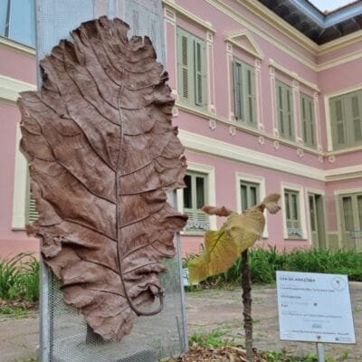 Descubra a trilha do Arboreto no Palácio Itaboraí em Petrópolis