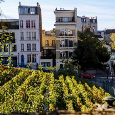 Descubra vinícola misteriosa em Paris com atmosfera enigmática – segredo revelado!