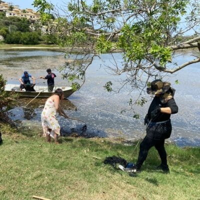 Participe do mutirão de limpeza na Lagoa da Usina em Búzios nesta sexta-feira e ajude a preservar o meio ambiente