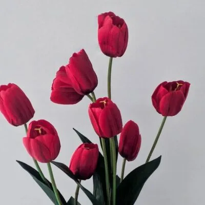 Significados da tulipa, a flor do amor verdadeiro, no paisagismo e decoração.