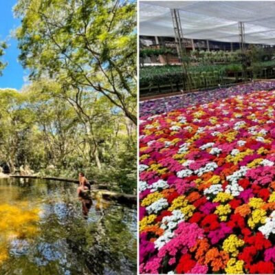 16 Razões Imperdíveis para Explorar Petrópolis nesta Primavera