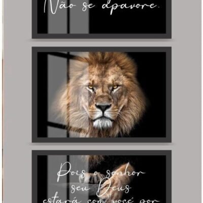 Kit 3 Quadros Decorativos Leão de Judá Frases