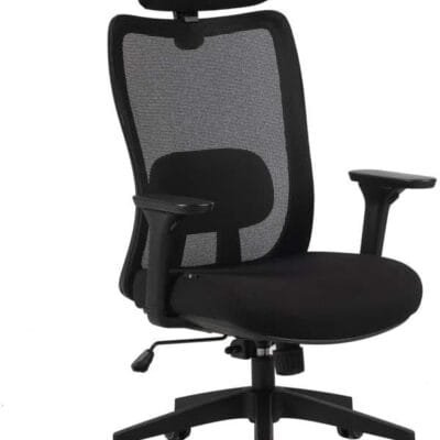 Cadeira Ergonômica Elements Astra Pro Preta