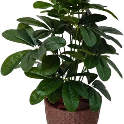 Planta Artificial Schefflera com Folhas Grandes Realista Com Vaso