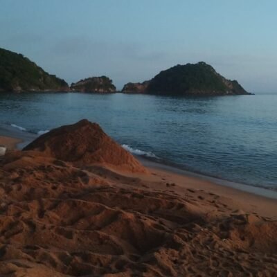 Carcaça de Baleia-de-Bryde é sepultada na Praia da Rasa durante a madrugada de terça-feira.