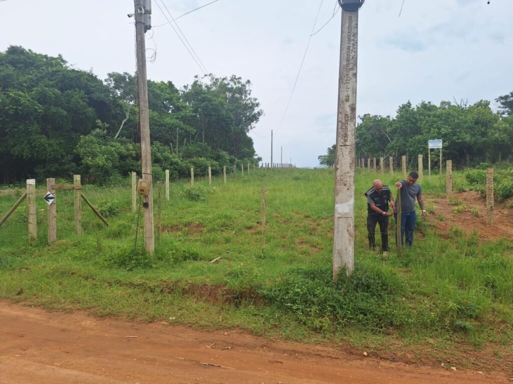 Fiscalização em Ação