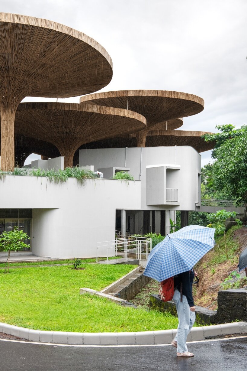 Estrutura do centro com guarda-sóis de bambu que se integram à paisagem do campus