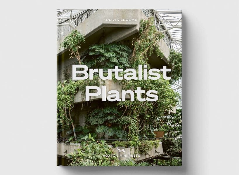 Brutalist Plants by Olivia Broome