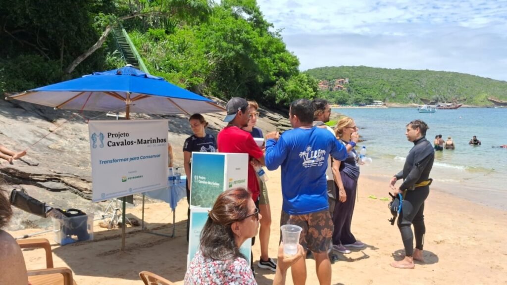 O Cavalo-Marinho e o ecossistema marinho