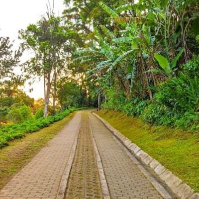 Novo Horário de Funcionamento para o Parque Natural da Ipiranga em Petrópolis