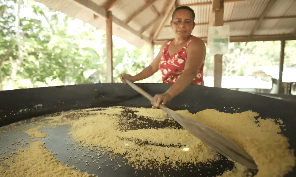 Produção de farinha de mandioca