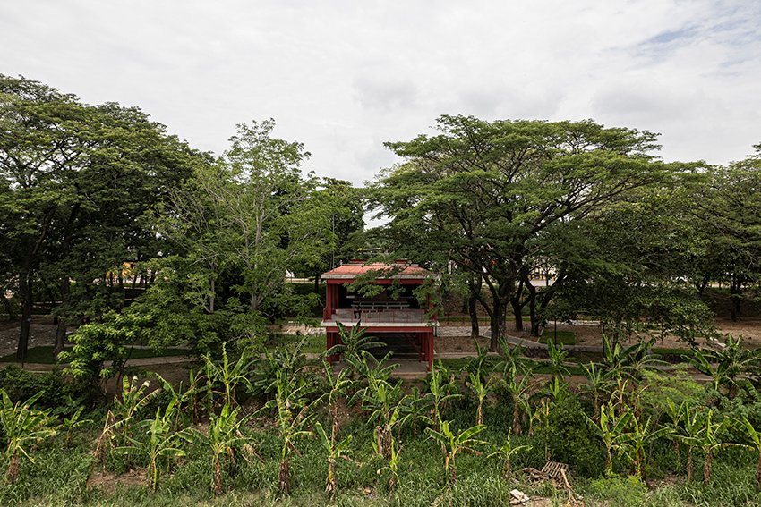 Restauração da Paisagem